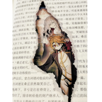 Mirror World Lenticular Card/Bookmark/Shikishi doujin game limbuscompany prints
